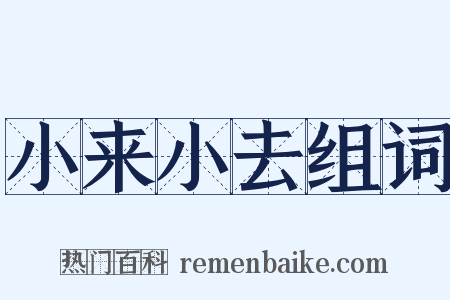 小来小去组词是什么意思的图片